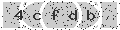 verify code